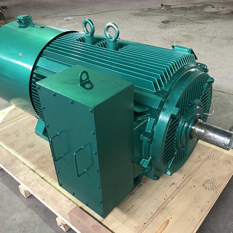 High Voltage Induction Motors